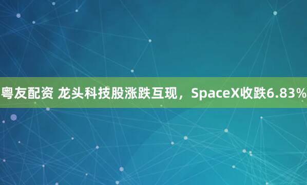 粤友配资 龙头科技股涨跌互现，SpaceX收跌6.83%